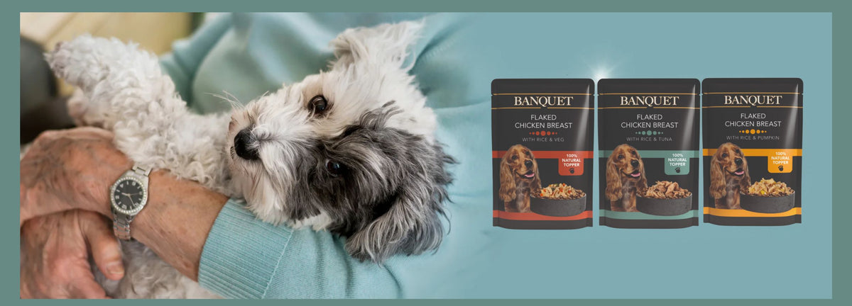 Nature's banquet dog clearance food