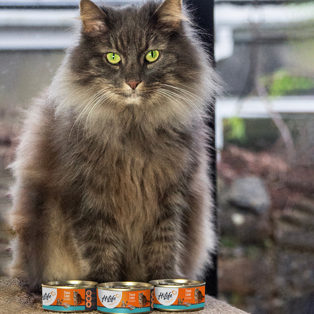 HiLife Adult Cat Tuna Loin in Sauce - 70g 12 Can Pack