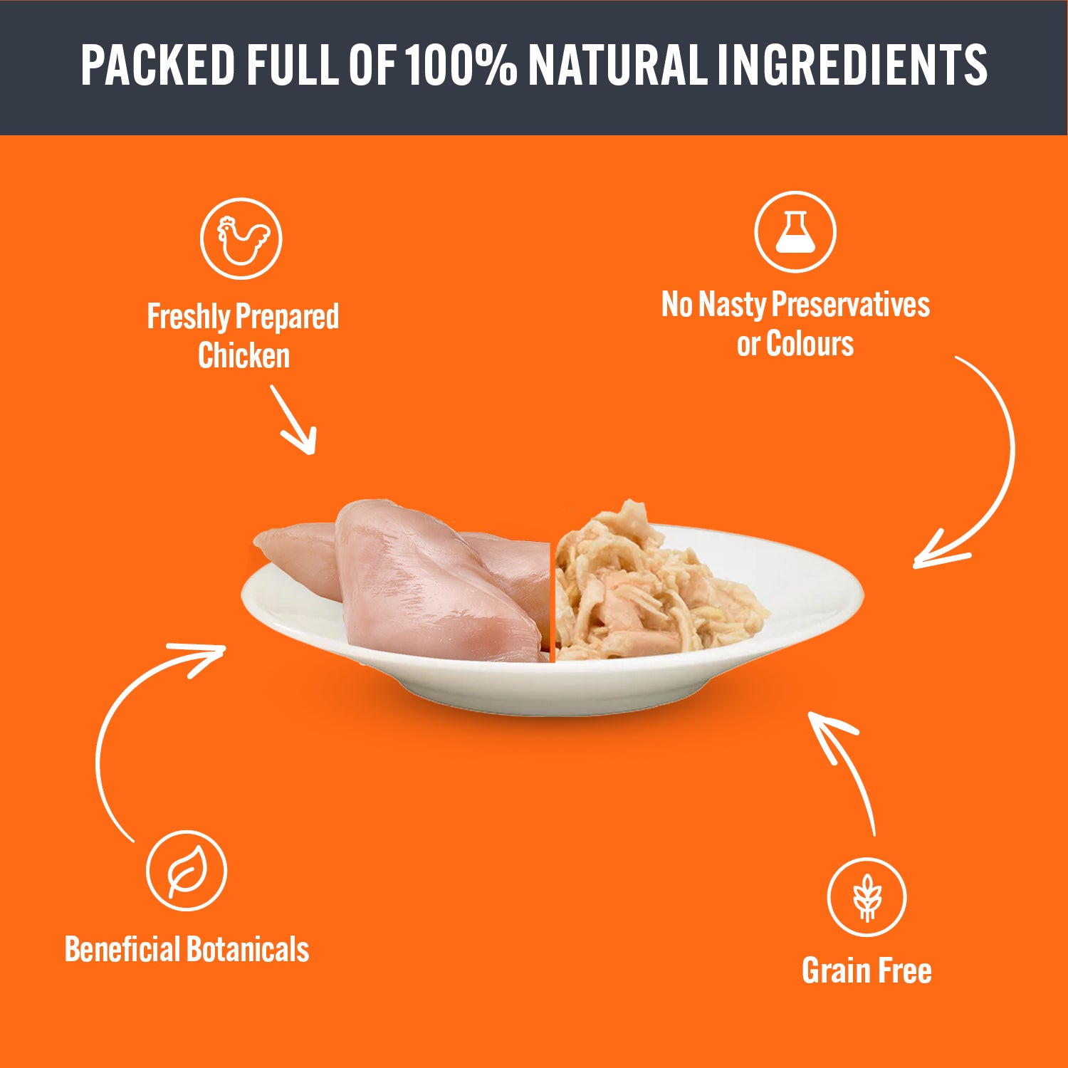 HiLife Adult Cat Chicken Recipes in Sauce - 70g 12 or 48 Cans