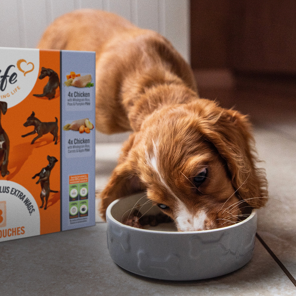 HiLife Puppy Chicken Recipes 150g Pouch Selection - 8 or 24 Pack