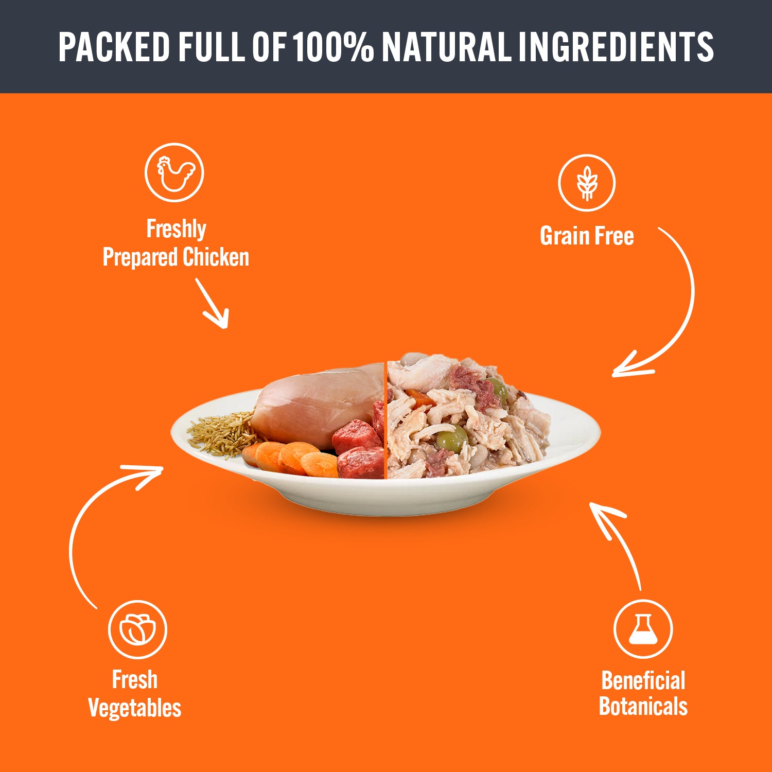HiLife Adult Dog Chicken Broth 150g Pouch Selection - 8 or 24 Pack