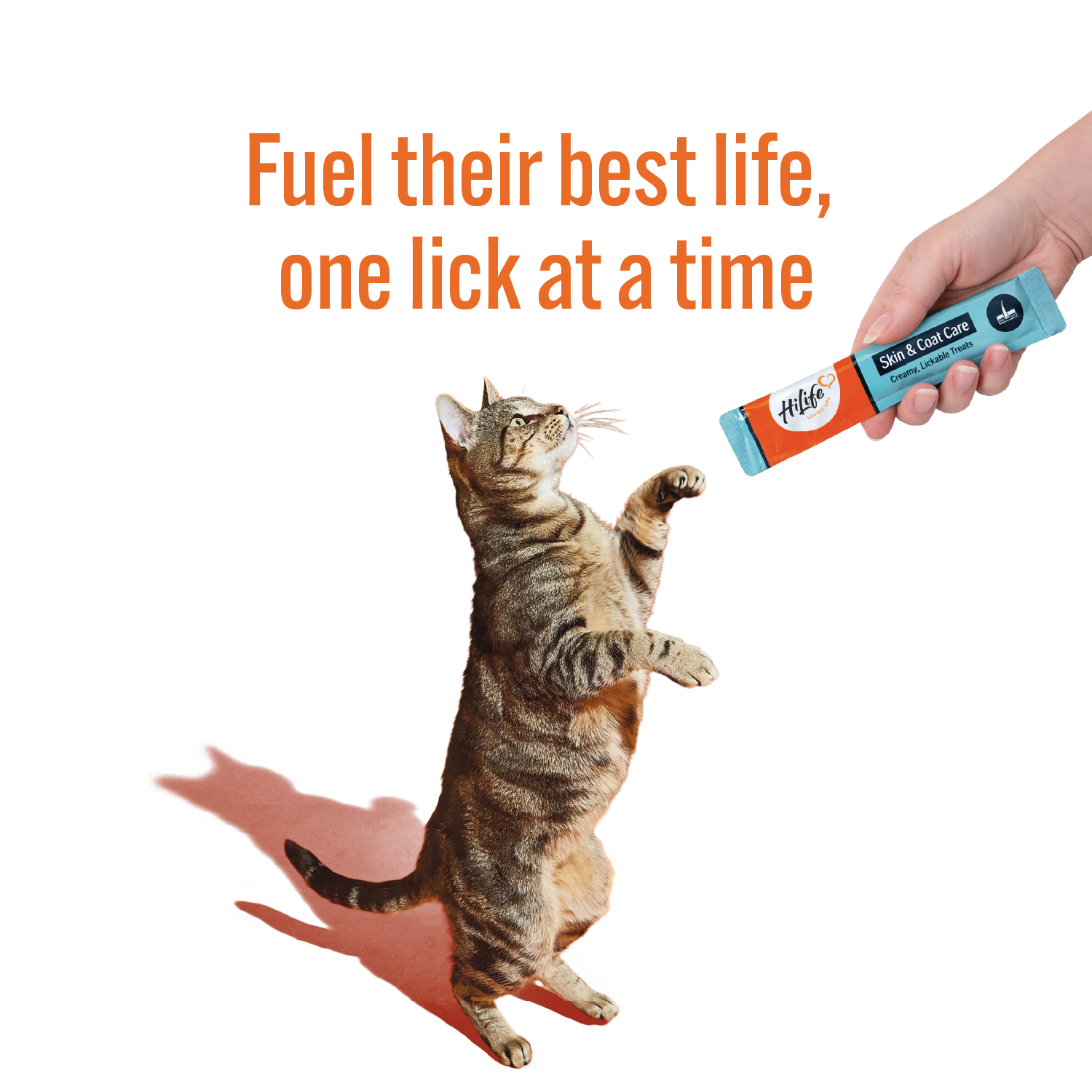 Cat standing on its hind legs reaching for a tube of HiLife skin and coat care product with text 'Fuel their best life, one lick at a time' on a white background.