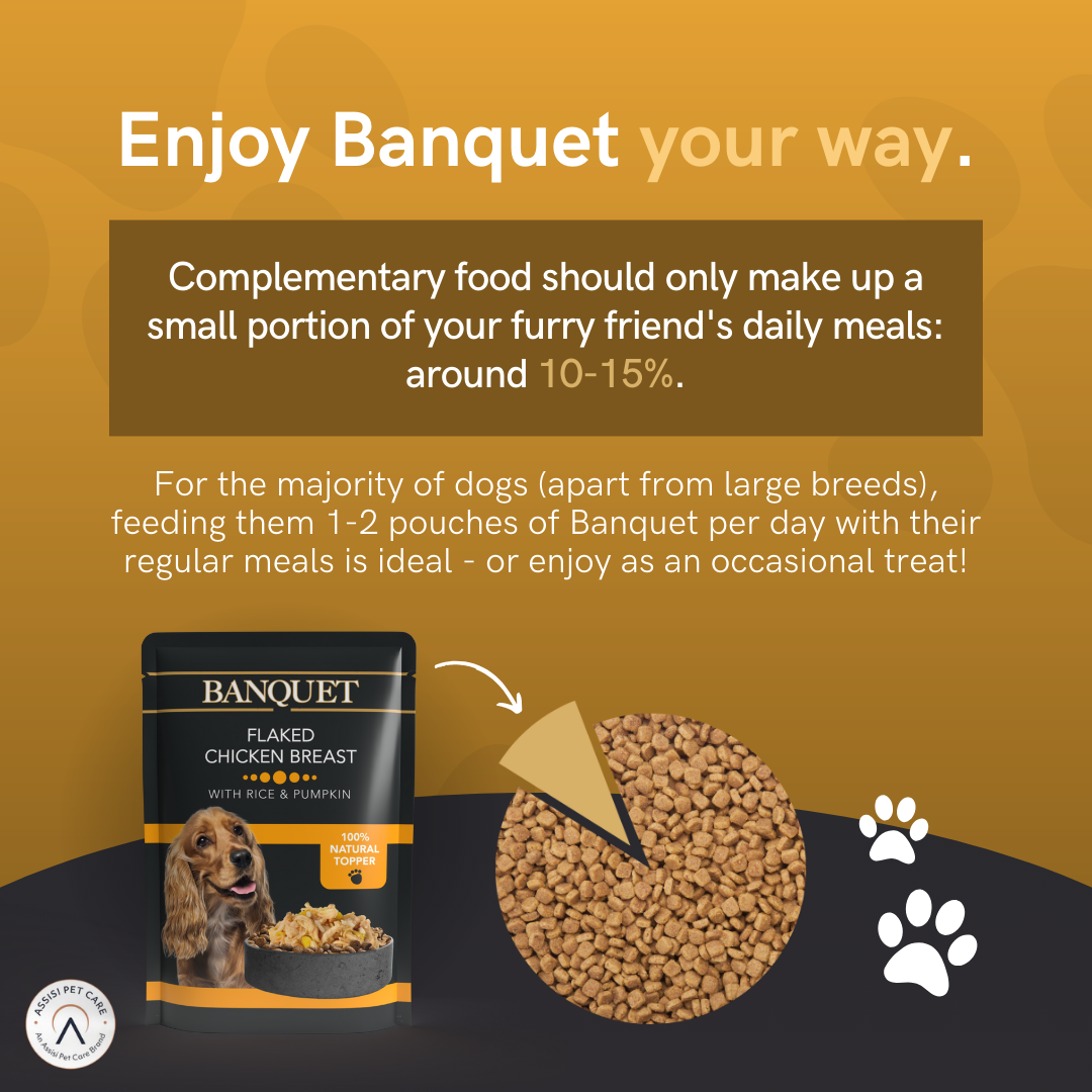 Banquet Adult Dog Flaked Chicken with Rice & Pumpkin in Jelly Pouch - 15 Pack