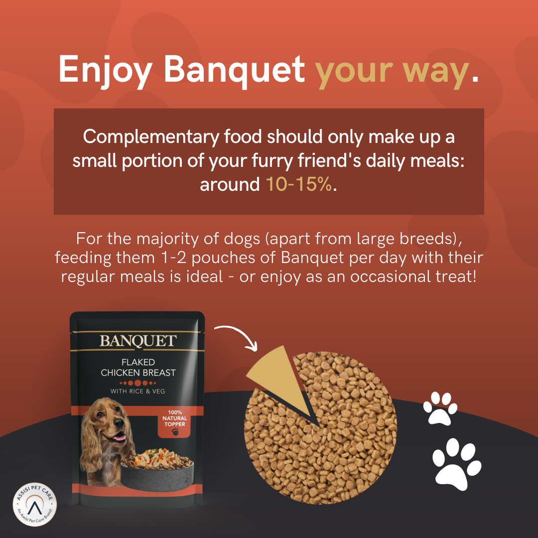 Banquet Adult Dog Flaked Chicken with Rice & Vegetables in Jelly Pouch - 15 Pack