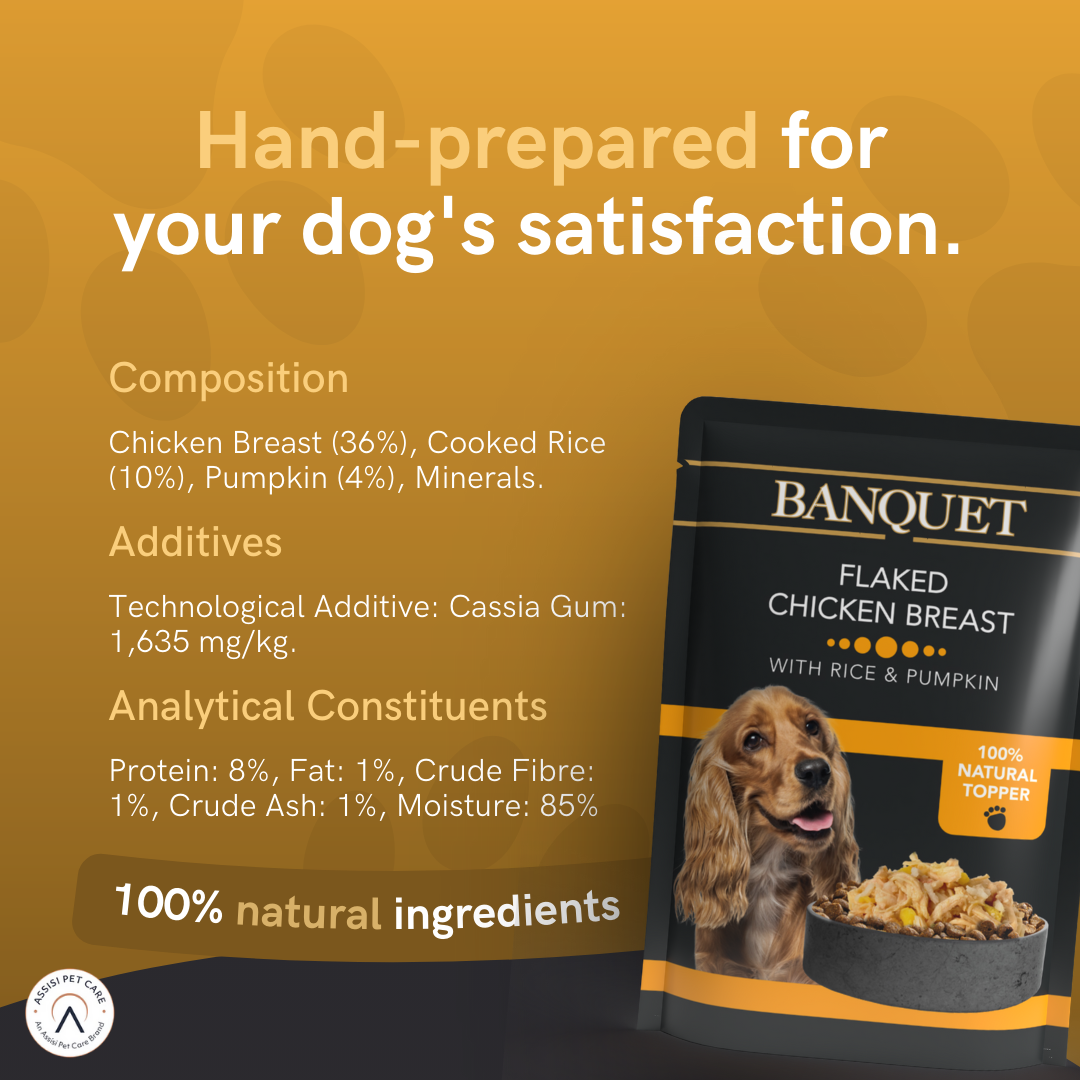 Banquet Adult Dog Flaked Chicken with Rice & Pumpkin in Jelly Pouch - 15 Pack