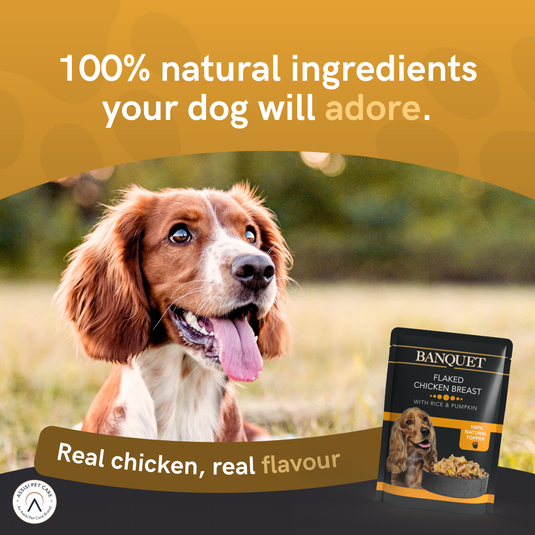 Banquet Adult Dog Mixed Case Chicken with Rice & Tuna or Pumpkin in Jelly Pouch - 30 Pack