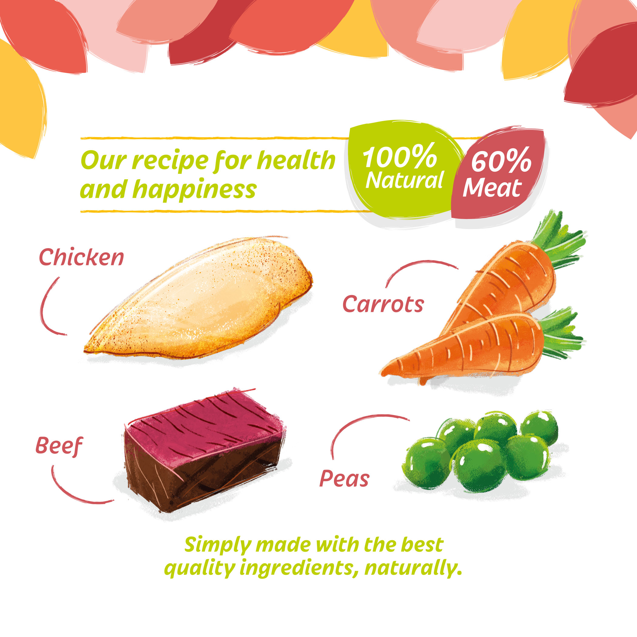 HiLife Adult Dog Jelly 100g Pouch Selection - 5 or 15 Pack