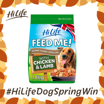HiLife Feed Me Something Special Competition
