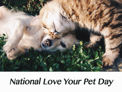 National Love Your Pet Day Discount - Terms & Conditions