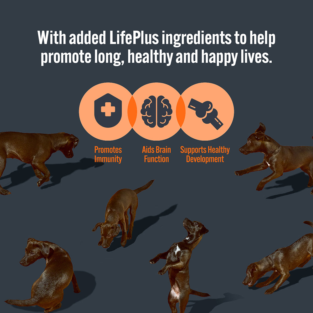 HiLife Puppy Chicken Recipes 150g Pouch Selection - 8 or 24 Pack