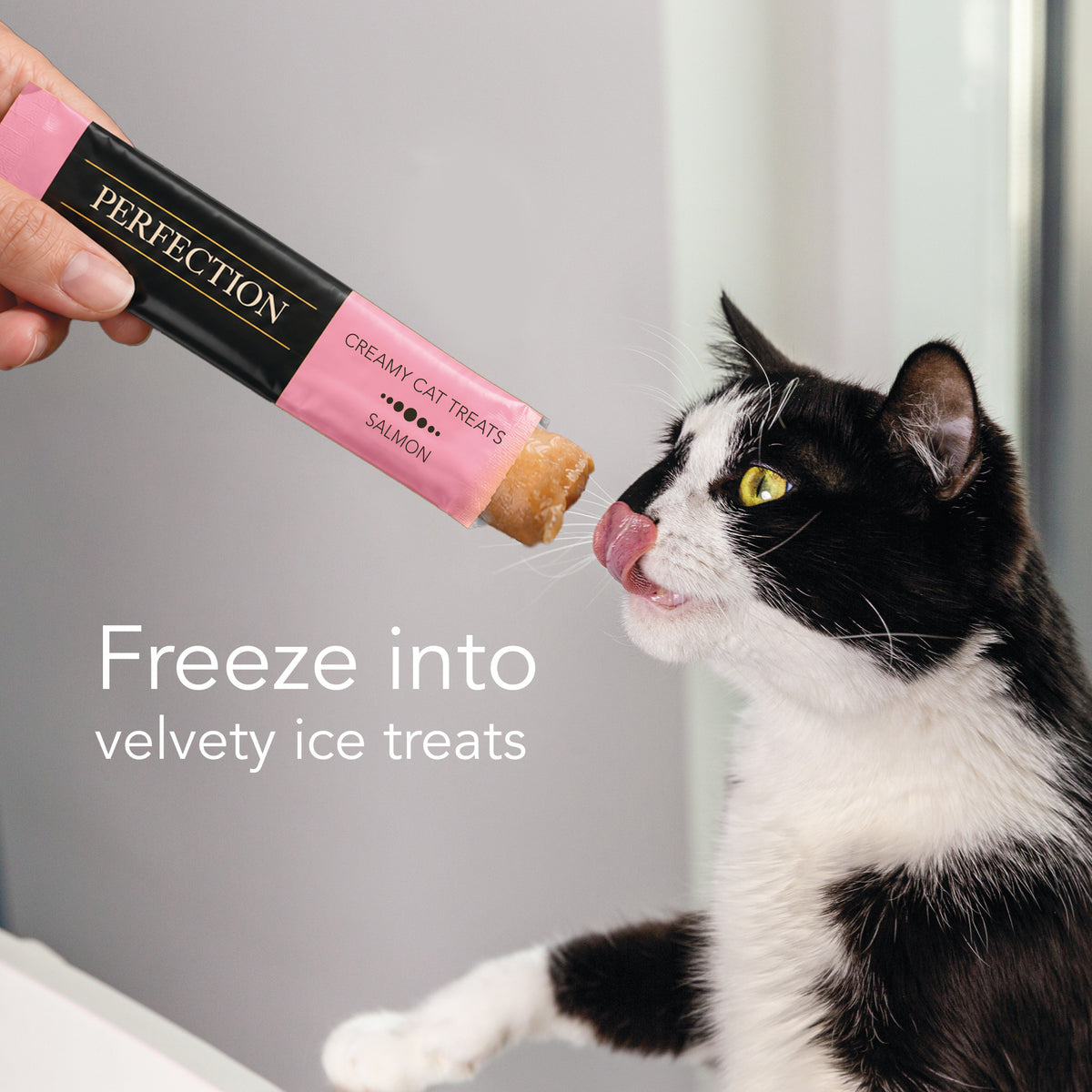 Perfection Creamy Cat Treats - Salmon 5x 15g Sachets