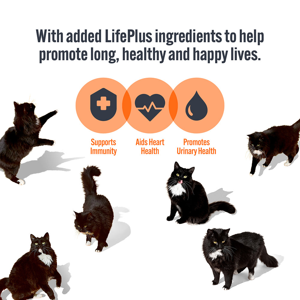 HiLife Adult Cat Chicken Dinner Pâté 70g Pouches - 18 Pack