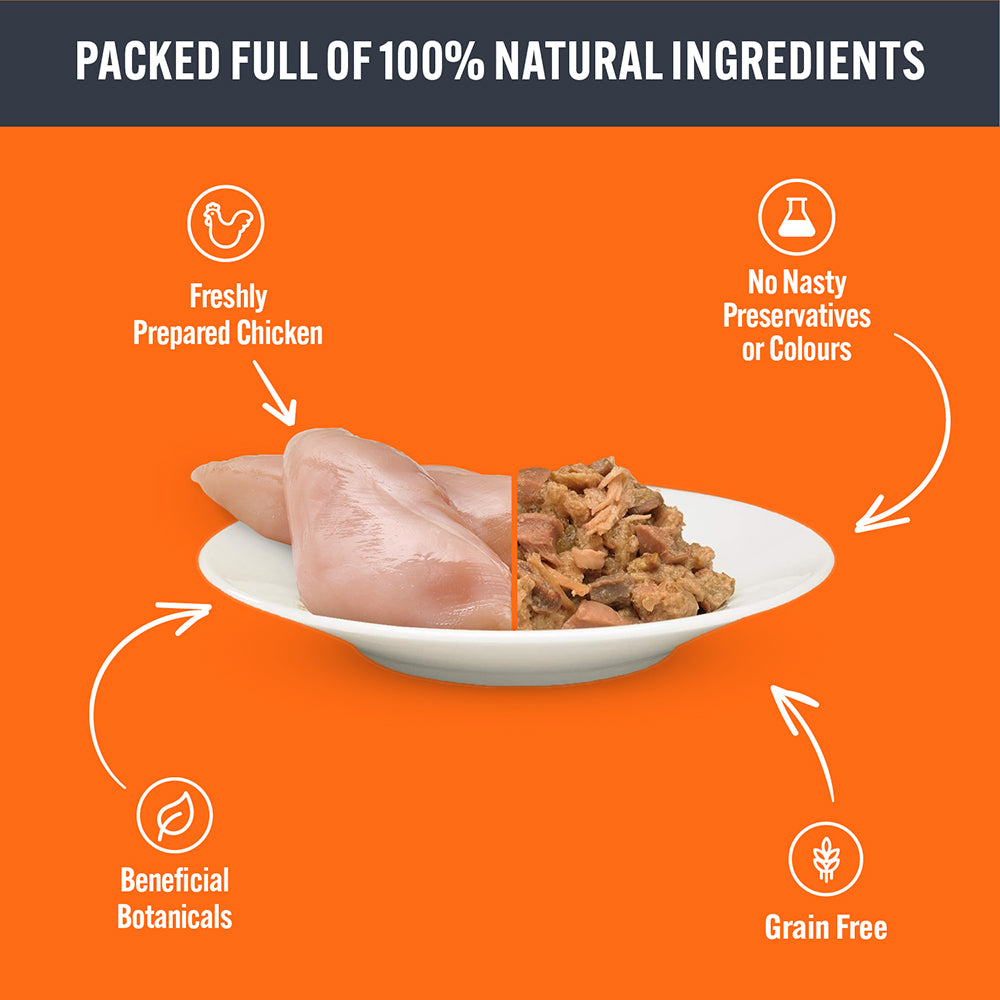 HiLife it s only natural cat food Chicken Dinner
