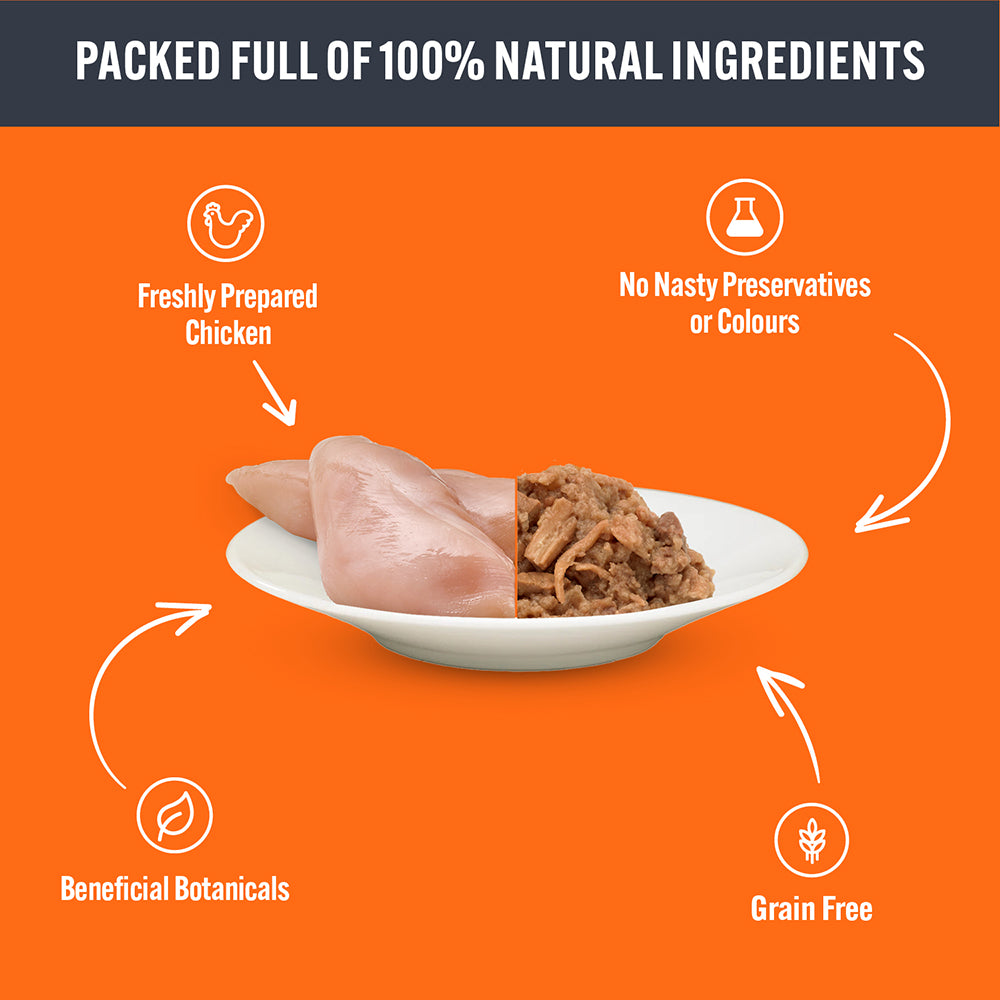 HiLife Adult Cat Chicken Pâté 70g Pouches - 8 or 32 Pack