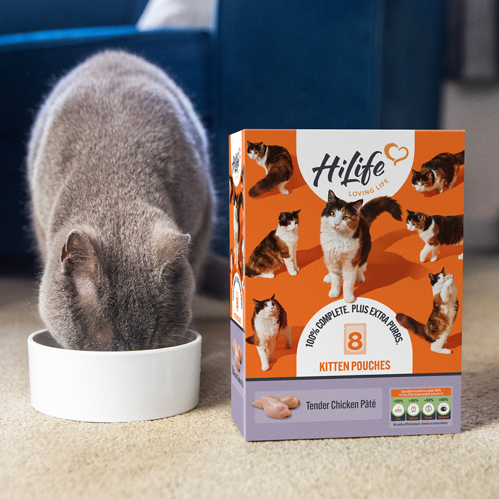 HiLife Kitten Tender Chicken Pâté 70g Pouches - 8 or 32 Pack
