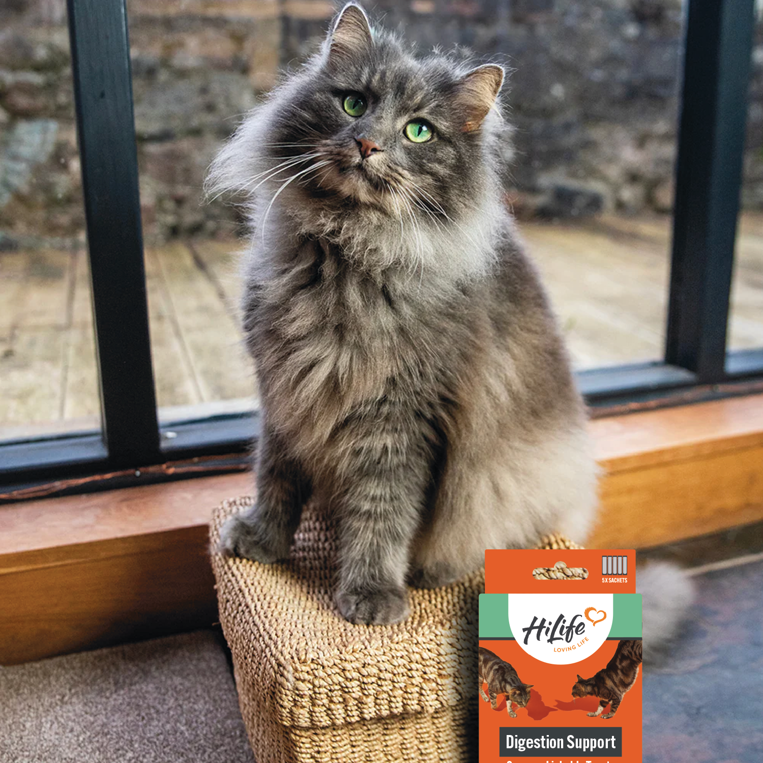 Cat sitting on a windowsill with a HiLife cat licks box in the foreground