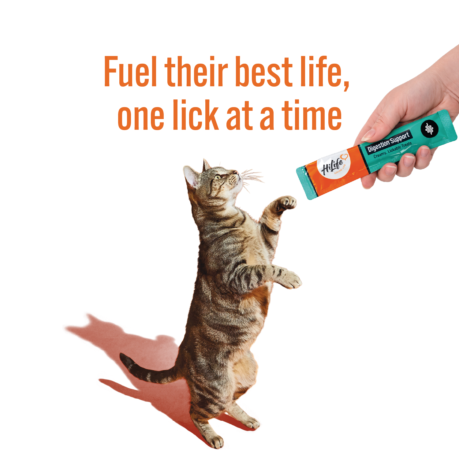 Cat standing on its hind legs reaching for a treat held by a hand with text 'Fuel their best life, one lick at a time'.