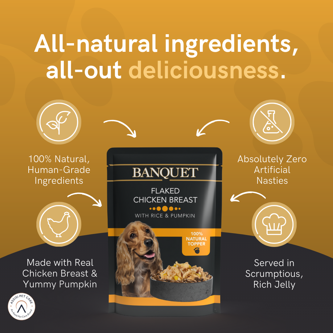 HiLife Great Tasting Dog Food & Cat Food