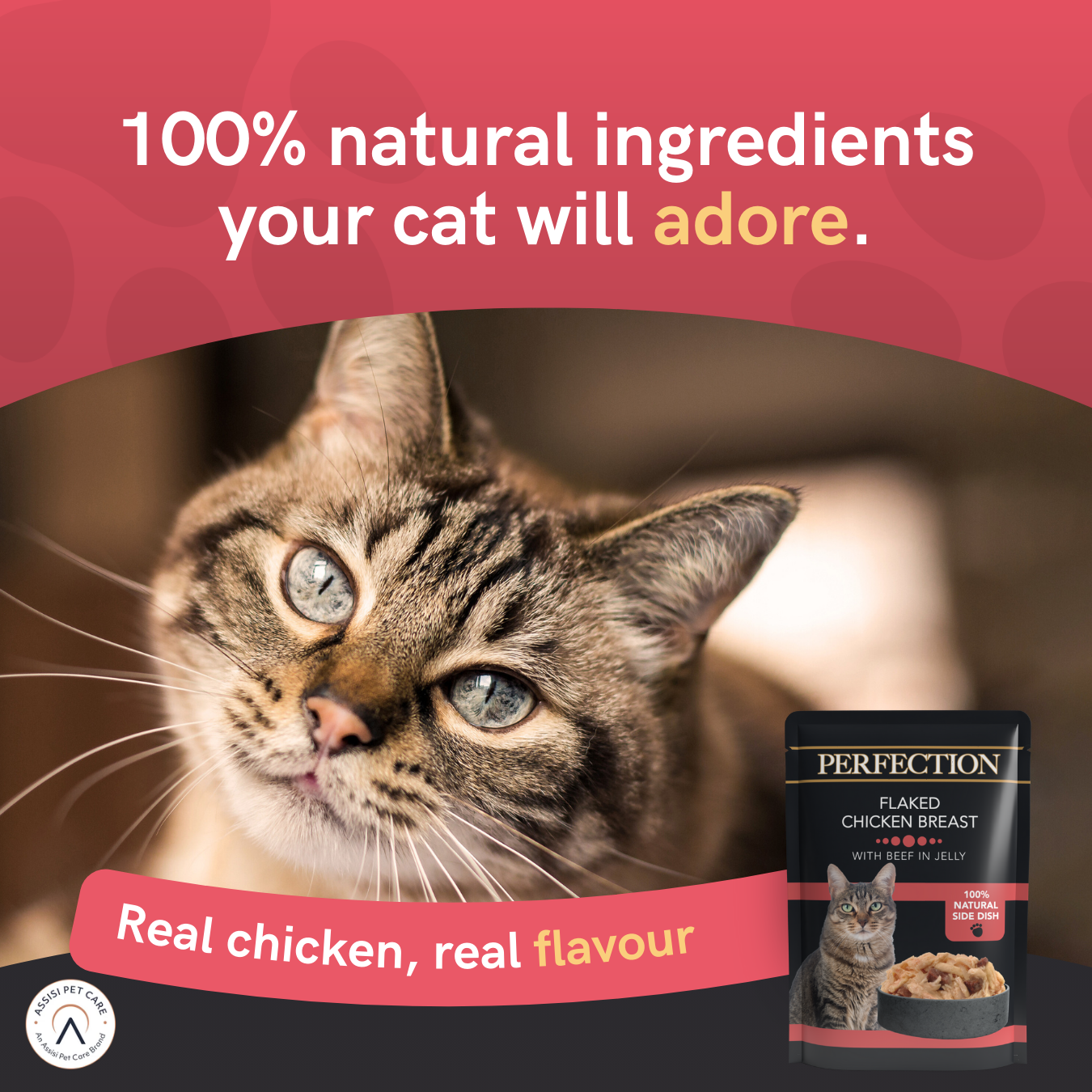 Perfection Adult Cat Chicken Breast with Beef Pouch - 18 Pack