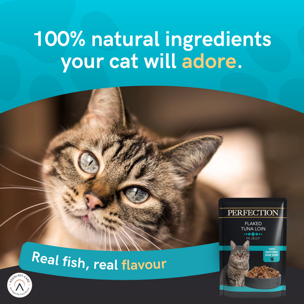Hi life perfection cat food hot sale