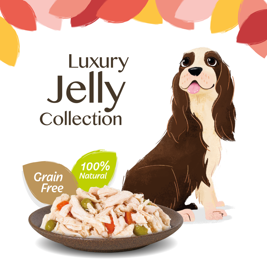 HiLife Adult Dog Jelly Selection