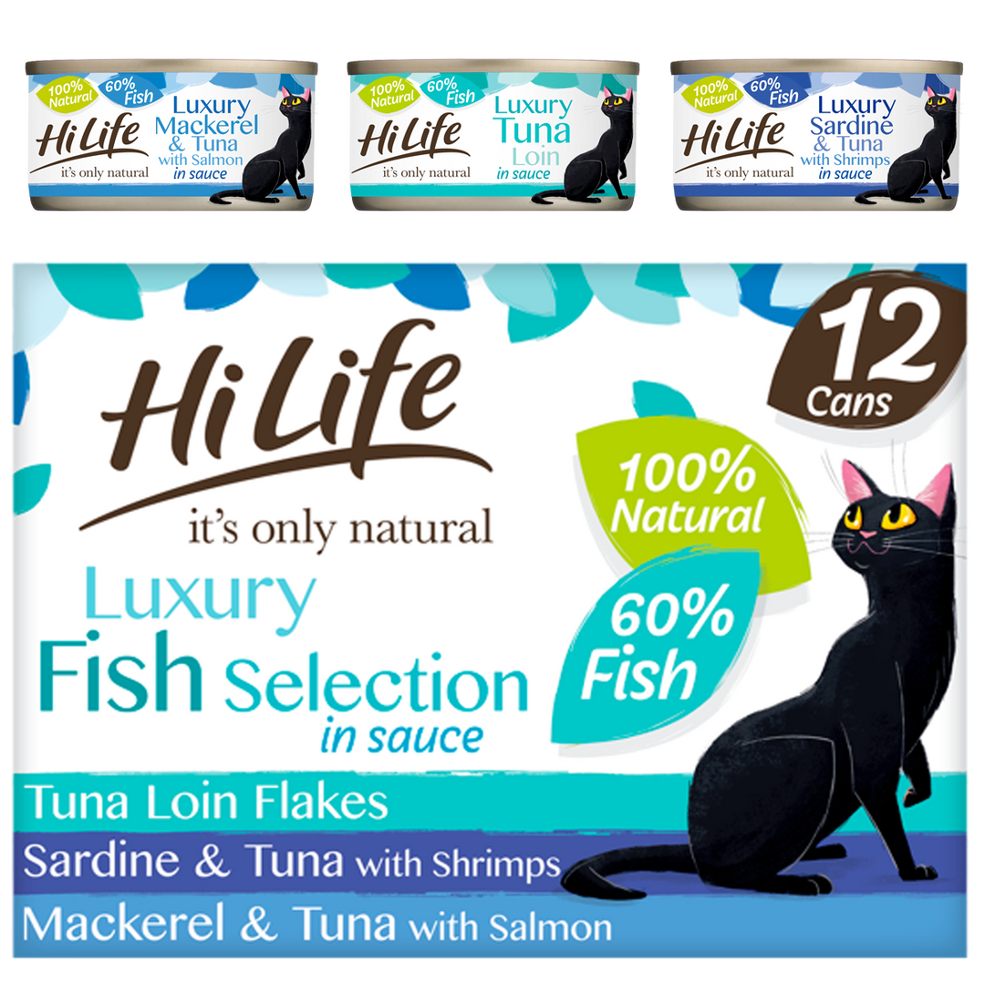 Hi fish for cat hot sale