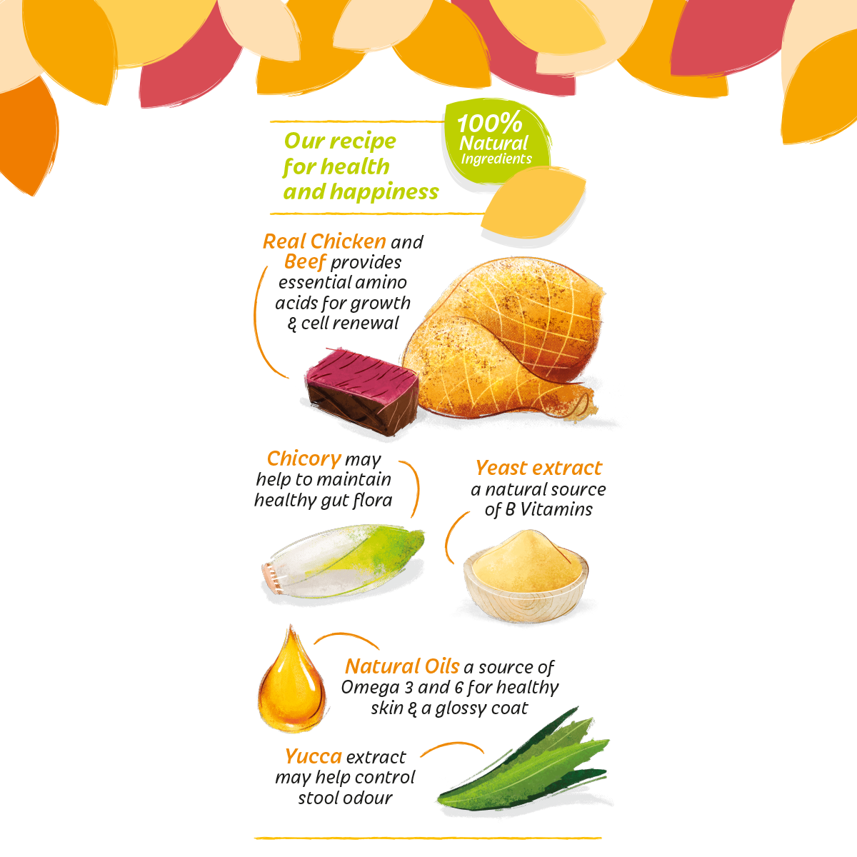 HiLife Great Tasting Dog Food & Cat Food