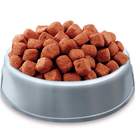 A bowl of Pets Pantry from HiLife Complete Meaty Chunks with tasty beef dry dog food and no artificial colours or flavours 