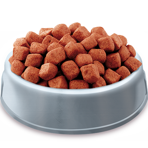 Dry dog food top with meaty chunks