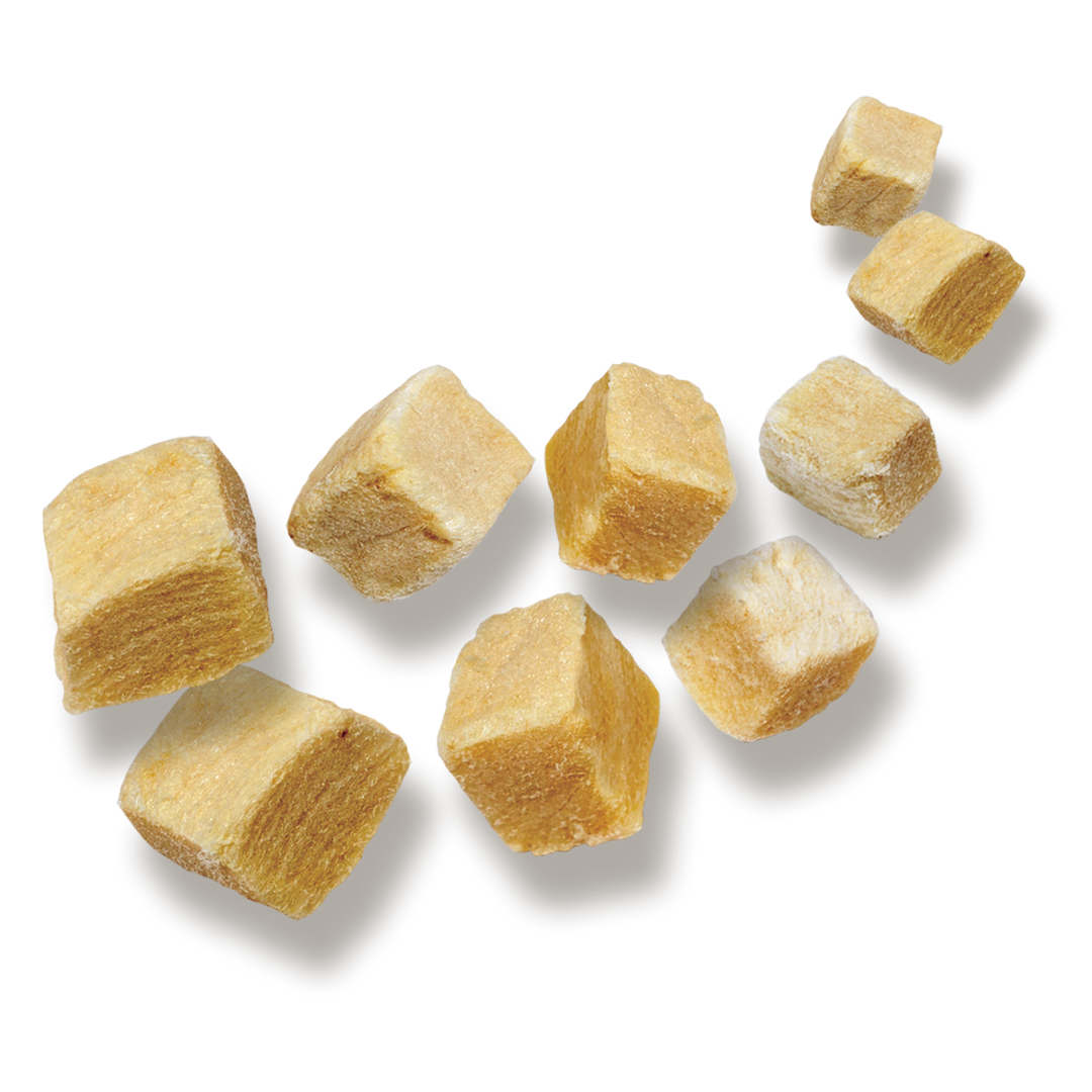 Hilife cat treats store
