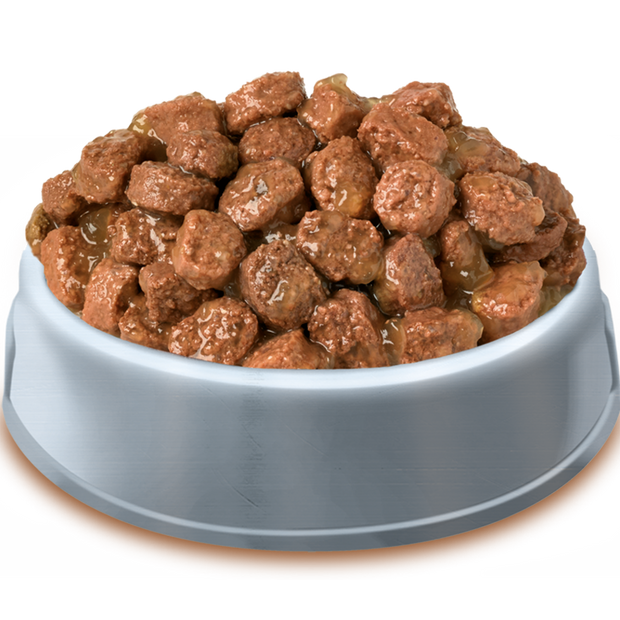 Bowl of Pets Pantry from HiLife Meaty Chunks in gravy pouch dog food