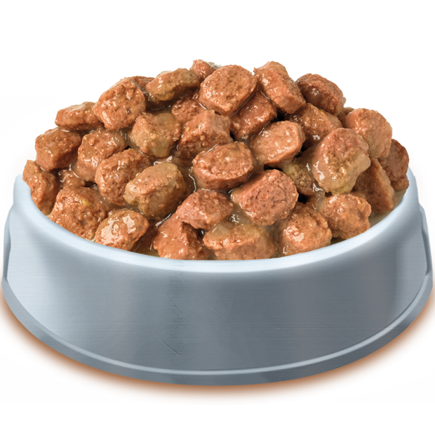 Bowl of Pets Pantry from HiLife Meaty Chunks in jelly pouch dog food